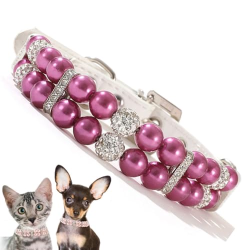 Violettes Katzenperlen-Halsband, ausgefallene Kristalle, glitzernde Welpen-Perlen, Luxus-Perlen-Halskette, Diamant-Halskette für Mädchen, Katze, Schmuck für XXS, XS, S, M, Hündinnen, Größe XXS Violettes Katzenperlen-Halsband, ausgefallene Kristalle, glitzernde Welpen-Perlen, Luxus-Perlen-Halskette, Diamant-Halskette für Mädchen, Katze, Schmuck für XXS, XS, S, M, Hündinnen, Größe XXS von YOUALSO