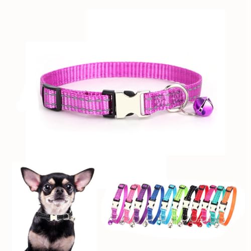 Xs Hundehalsband mit Glöckchen, reflektierendes Nylon, Metallschnalle, Größe XS, Welpenhalsbänder für Welpen, Haustiere, Katzen, Mädchen, Kätzchen, Kleintiere, Lila, XS von YOUALSO