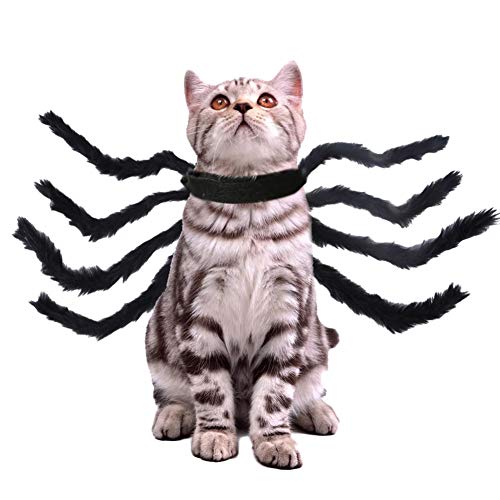 YOUCAI Halloween Haustier Kleidung Spinne Kostüme Hund Katze Kostüm Weihnachts Kostüm Plüsch Spinnenkostüm für Kleine Mittel Große Hunde Katzen,Schwarz,L von YOUCAI