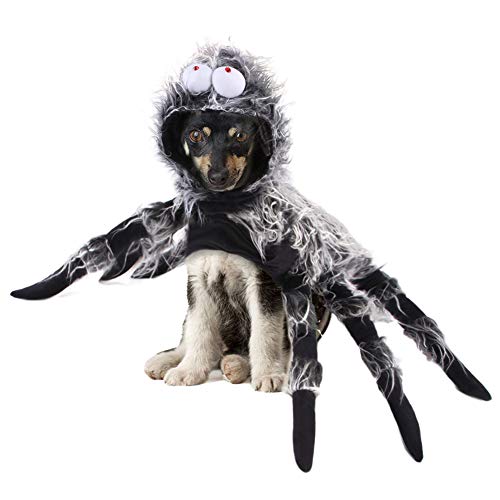 YOUCAI Halloween Haustier Kostüm Hund Katzen Kleidung Hundekleidung Plüsch Spinne Kostüm Cosplay Party Haustier Kleidung für Kleine Mittel Große Hunde Katzen,Schwarz,L von YOUCAI
