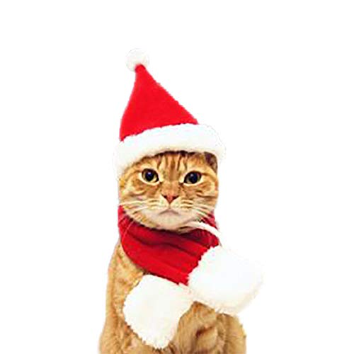 YOUCAI Katze Hund Weihnachts Kap Halsbänder Hut Schal Weihnachten Haustier Kleidung Santa Kostüm für Hunde Kätzchen Weihnachtsmann Cosplay Party,Stil 1,L von YOUCAI