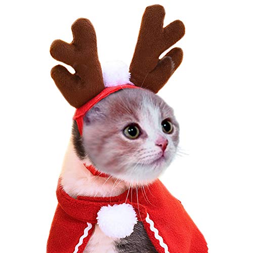 YOUCAI Katze Hund Weihnachts Kap Halsbänder Hut Schal Weihnachten Haustier Kleidung Santa Kostüm für Hunde Kätzchen Weihnachtsmann Cosplay Party,Stil 3,Einheitsgröße von YOUCAI