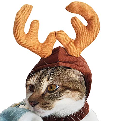 YOUCAI Katze Hund Weihnachts Kap Halsbänder Hut Schal Weihnachten Haustier Kleidung Santa Kostüm für Hunde Kätzchen Weihnachtsmann Cosplay Party,Stil 4,Einheitsgröße von YOUCAI