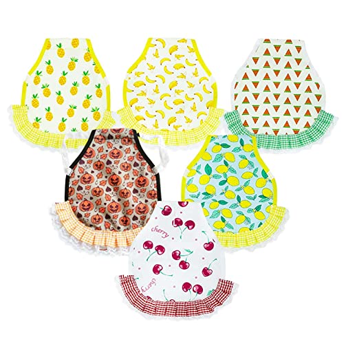 6 Stück Hühnersättel – Henne Schürze mit elastischen Riemen, Hen Sattel für Hühner, Hühnerschürzen, Jacke, Weste, Geflügelschoner, Protektor 6 Stück Hühnersättel – Henne Schürze mit elastischen Riemen, Hen Sattel für Hühner, Hühnerschürzen, Jacke, Weste, Geflügelschoner, Protektor von YOUGE