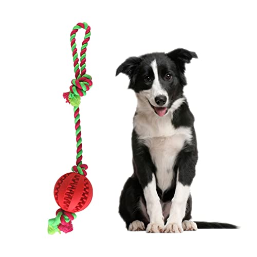 Hunde-Kauspielzeug-Ball, interaktiver Bisswiderstand, Hundezahnreinigungsspielzeug, Welpen-Hundetraining, Leckerlis, Zahnenseil-Spielzeug für Langeweile, Futterspender, Hunde-Kauspielzeug, Ball für von YOUGE