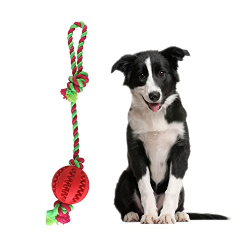 Hunde-Kauspielzeug-Ball, interaktiver Bisswiderstand, Hundezahnreinigungsspielzeug, Welpen-Hundetraining, Leckerlis, Zahnenseil-Spielzeug für Langeweile, Futterspender, Hunde-Kauspielzeug, Ball für Hunde-Kauspielzeug-Ball, interaktiver Bisswiderstand, Hundezahnreinigungsspielzeug, Welpen-Hundetraining, Leckerlis, Zahnenseil-Spielzeug für Langeweile, Futterspender, Hunde-Kauspielzeug, Ball für von YOUGE