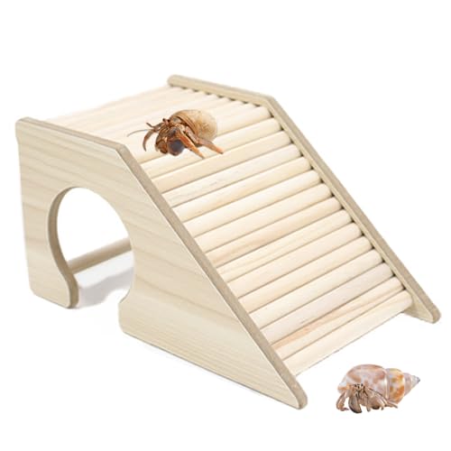 Einsiedlerkrebs-Versteck mit Rampe, Einsiedlerkrebse, Kletterspielzeug, Einloch-Aquarien, Leiter, Brücke, Rampe, Spielzeug für Einsiedlerkrebse, Hamster, Ratte Einsiedlerkrebs-Versteck mit Rampe, Einsiedlerkrebse, Kletterspielzeug, Einloch-Aquarien, Leiter, Brücke, Rampe, Spielzeug für Einsiedlerkrebse, Hamster, Ratte von YOULJINTFA