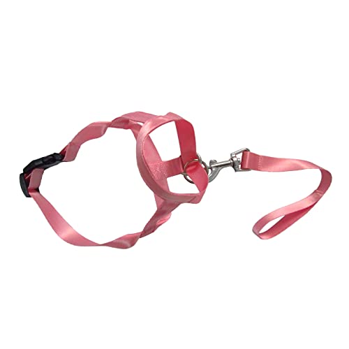 Verstellbare Gurte für kleine Hunde, weiches Nylon, verstellbar, Anti-Bissschutz, belüfteter Mundschutz Verstellbare Gurte für kleine Hunde, weiches Nylon, verstellbar, Anti-Bissschutz, belüfteter Mundschutz von YOUNAFEN