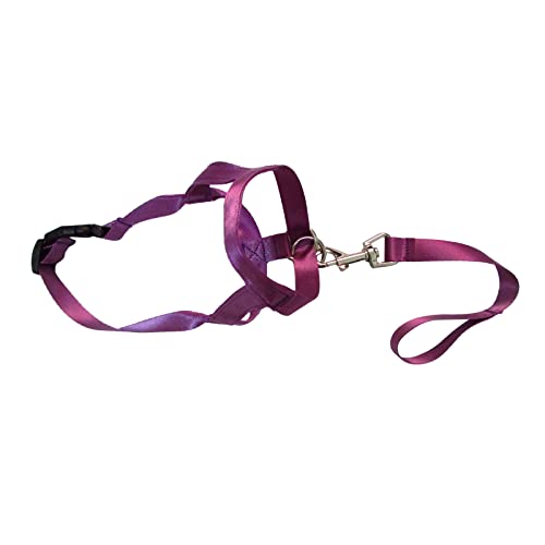 Verstellbare Gurte für kleine Hunde, weiches Nylon, verstellbar, Anti-Bissschutz, belüfteter Mundschutz von YOUNAFEN