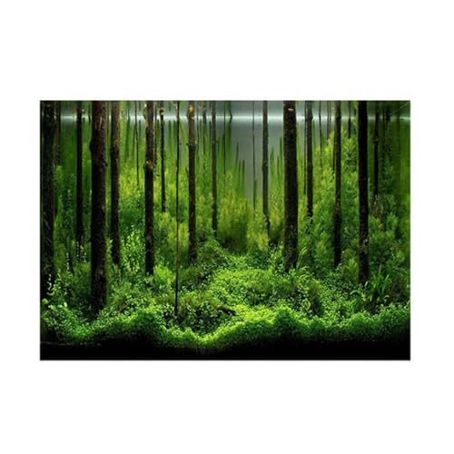 YOUTHINK Aquarium Hintergrund, Hintergrunddekor für Aquarien, Aquarium Dekoratives Plakat, Aquarium Rückwandfolie Papier Geeignet, Terrarium Rückwand (61 * 30cm) von YOUTHINK