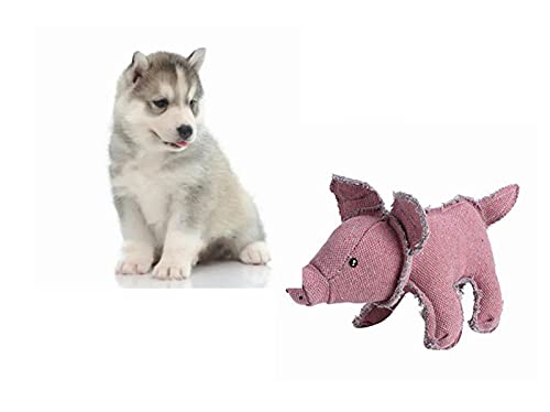 YOUTHINK Hundekauspielzeug, Hundezahnreinigungsspielzeug, Hundespielzeug in roter Schweineform mit gefüllter Baumwolle, interaktives Haustierspielzeug(Schwein) von YOUTHINK