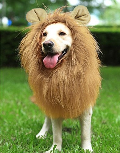 Löwe Mähne für Hund Groß Mittel mit Ohren Hunde Lustige Geschenke Haustier Löwe Mähne Kostüm Kordel Einstellbar Weihnachten Halloween Cosplay von Yosoo