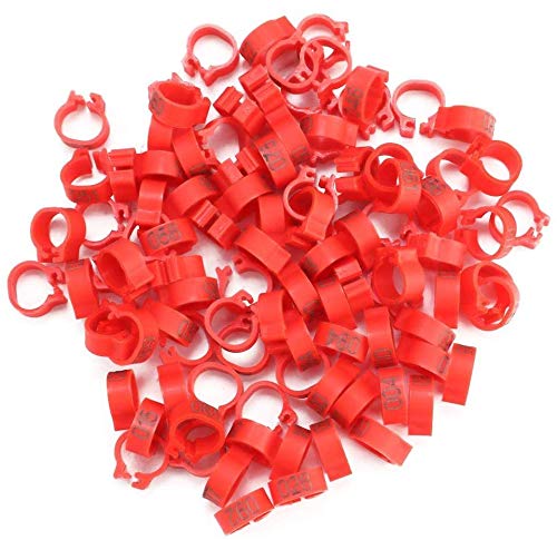 100 Stück Kunststoff-Taubenfußringe, 8 mm, 001–100, lesbare, nummerierte Beinbänder zur Vogelidentifikation für Zwergfinken, Tauben, Unzertrennliche (rot) von YOUTHINK