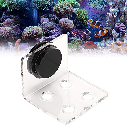 Coral Frag Rack, 4 L?cher Acryl Aquarium Coral Frag Aquarium Korallenregal Halterung Aquarium Coral Frag Halter Korallen Halterung St?nder Ornament Zubeh?r F¨¹r Aquarien von YOUTHINK