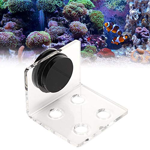 YOUTHINK Coral Frag Rack, 4 Löcher Acryl Aquarium Coral Frag Aquarium Korallenregal Halterung Aquarium Coral Frag Halter Korallen Halterung Stönder Ornament Zubehör für Aquarien von YOUTHINK