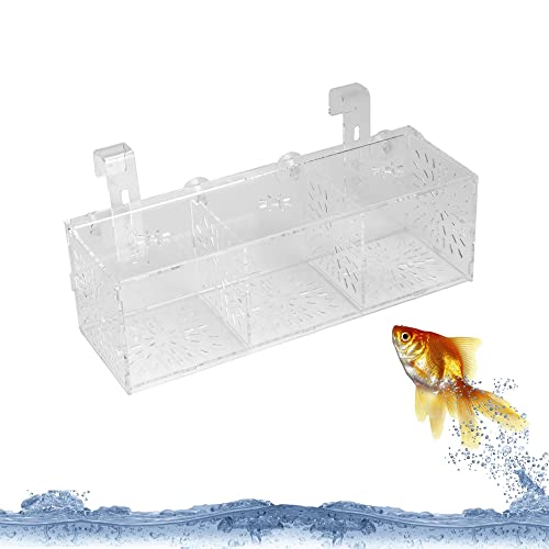 Fischzuchtkasten, Aquarium Fischzucht Box Acryl Fisch Isolation Brutstötte Mit Saugnöpfen Zuchtbox Acryl Layer Fische Aufzuchtbehölter für Aquarienfische für Babys Kleine Fische Garnelen von YOUTHINK