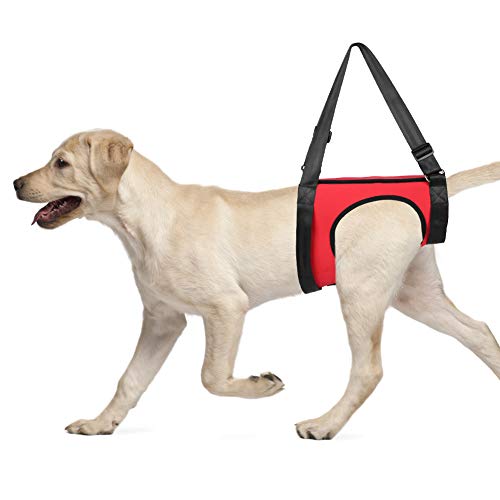 Tragehilfe Hund hinten, Hundeunterst¨¹tzungsgurt Haustier Gehhilfe Heben Ziehen Weste Stabilit?t Zu Verbessern Hundegeschirr optimal auf Ihre K?rpergr??e einstellbar f¨¹r alte und verletzte Hunde von YOUTHINK