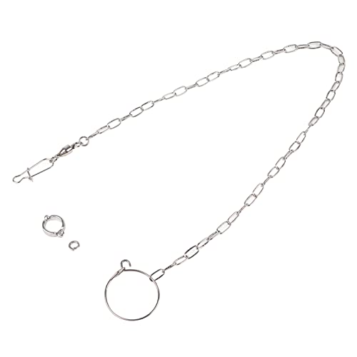 Papagei Fuökette, YOUTHINK 54cm/21.3in Geteilte Fuökette Aus Edelstahl für Groöe Papageien Haustier Training Fuökettchen Ring für Verschiedene Arten und Grööen von Papageien von YOUTHINK