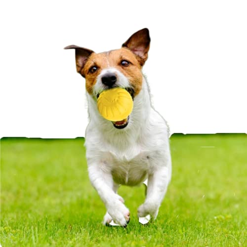 YOUTHINK Quietschspielzeug für Hunde, Kauspielzeug für Welpen Zum Zahnen Interaktives Spielzeug Ball Langlebiges Spielzeug für Kleine Mittelgroöe Hunde von YOUTHINK