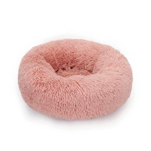 YOUXIZI Donut-Hundebett, Plüschkorb, Haustierzubehör, rund, für kleine Haustiere, flauschig, mittelgroß, Kissen, Sofa, waschbar, warm, große Hunde, Betten, Matte, Welpe YOUXIZI Donut-Hundebett, Plüschkorb, Haustierzubehör, rund, für kleine Haustiere, flauschig, mittelgroß, Kissen, Sofa, waschbar, warm, große Hunde, Betten, Matte, Welpe von YOUXIZI