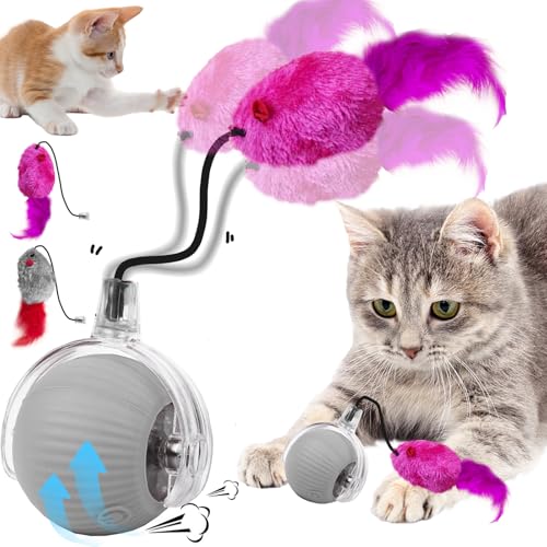 YOUYIKE Interaktives Katzenspielzeug Hundes Ballspielzeug mit Seil, USB Wiederaufladbar Rolling, Interaktiver Ball für Hunde Magic Ball für Hunde Und Katzen Jeder Größe und Jeden Alters von YOUYIKE