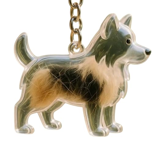 YPBEW Mini-Schlüsselanhänger mit Hundehaaren, transparent, Gedenkbox, sicherer Haustier-Verlust, Schmuck, Hundefell, Sammler, Charm, Miniatur-Haustier-Erinnerungsvitrine von YPBEW