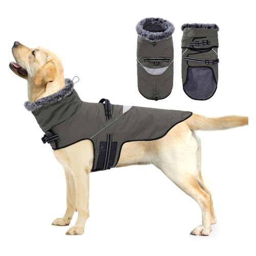 Hund Kaninchen Plüsch Ausschnitt Winter Hund Kleidung Verdickte Thermische Rollkragen Haustier Weste Britischen Gentleman Stil Große Hund Baumwolle Kleidung,B,XXL Hund Kaninchen Plüsch Ausschnitt Winter Hund Kleidung Verdickte Thermische Rollkragen Haustier Weste Britischen Gentleman Stil Große Hund Baumwolle Kleidung,B,XXL von YPDOPORA
