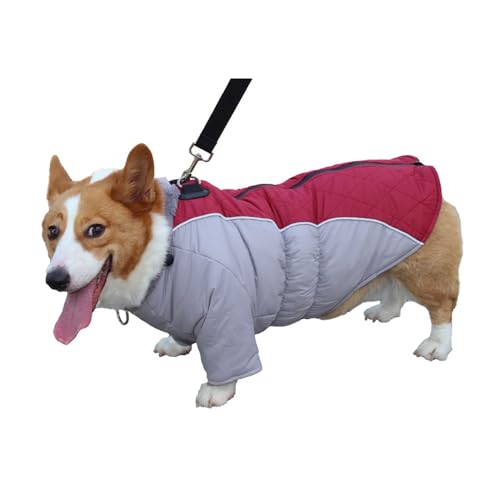 Hunde-Wintermantel, Wasserdicht, Warme Fleece-Futterjacke Für Kleine Hunde, Winterjacke, Weste, Warme Mäntel, Reflektierende Winddichte Bekleidung Mit D-Ring, Hundekleidung Für Kaltes Wetter,D,L Hunde-Wintermantel, Wasserdicht, Warme Fleece-Futterjacke Für Kleine Hunde, Winterjacke, Weste, Warme Mäntel, Reflektierende Winddichte Bekleidung Mit D-Ring, Hundekleidung Für Kaltes Wetter,D,L von YPDOPORA