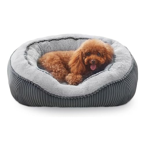 Hundebetten Für Kleine, Mittelgroße Und Große Hunde Und Katzen, Rechteckiges, Waschbares, Orthopädisches Haustier-Sofabett, Weiches, Beruhigendes, Wärmendes Hundebett Mit Rutschfester Unterseite Hundebetten Für Kleine, Mittelgroße Und Große Hunde Und Katzen, Rechteckiges, Waschbares, Orthopädisches Haustier-Sofabett, Weiches, Beruhigendes, Wärmendes Hundebett Mit Rutschfester Unterseite von YPDOPORA