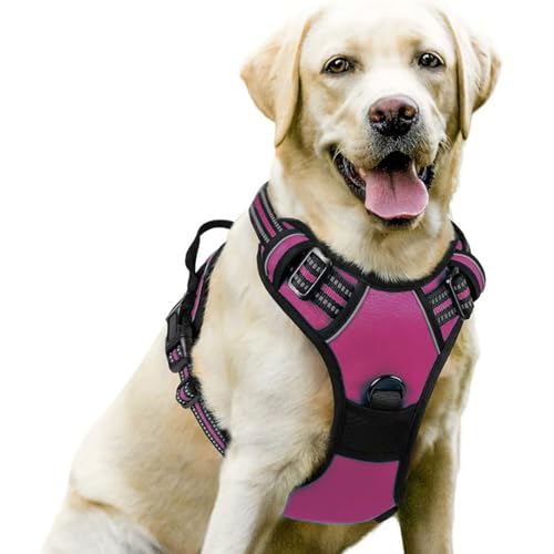 Hundegeschirr, Kein Ziehen, Mit 2 Leinenclips, Verstellbar, Weich Gepolstert, Reflektierendes Oxford-Gewebe, Kein Würgen, Haustierweste Mit Leicht Zu Kontrollierendem Griff Für Große Hunde,H,M Hundegeschirr, Kein Ziehen, Mit 2 Leinenclips, Verstellbar, Weich Gepolstert, Reflektierendes Oxford-Gewebe, Kein Würgen, Haustierweste Mit Leicht Zu Kontrollierendem Griff Für Große Hunde,H,M von YPDOPORA