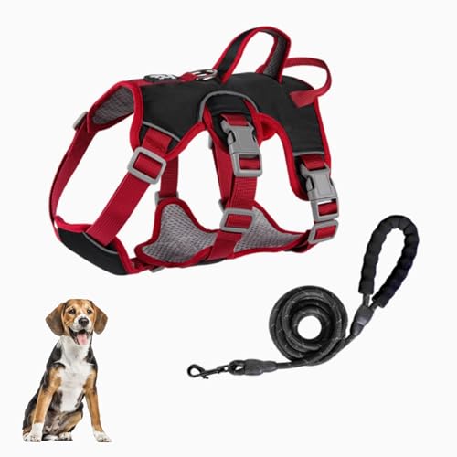 Hundegeschirr, Weich Gepolstert, Mit Hebegriff Und Leinenclip, Kein Ziehen, Ausbruchsicher, Reflektierendes Haustiergeschirr, Verstellbare Hundeleine Für Kleine Und Mittelgroße Hunde,Schwarz,M Hundegeschirr, Weich Gepolstert, Mit Hebegriff Und Leinenclip, Kein Ziehen, Ausbruchsicher, Reflektierendes Haustiergeschirr, Verstellbare Hundeleine Für Kleine Und Mittelgroße Hunde,Schwarz,M von YPDOPORA