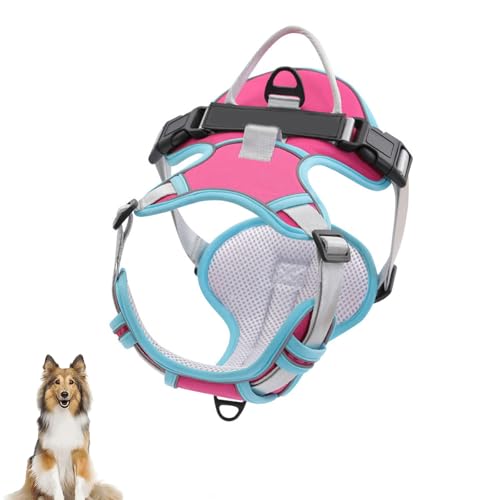 Hundegeschirr Ohne Ziehen, Reflektierendes Hundewestengeschirr Mit 2 Leinenclips Vorne Und Hinten, Verstellbare, Weich Gepolsterte Hundeweste Mit Leicht Zu Kontrollierendem Griff Für Hunde,B,M Hundegeschirr Ohne Ziehen, Reflektierendes Hundewestengeschirr Mit 2 Leinenclips Vorne Und Hinten, Verstellbare, Weich Gepolsterte Hundeweste Mit Leicht Zu Kontrollierendem Griff Für Hunde,B,M von YPDOPORA
