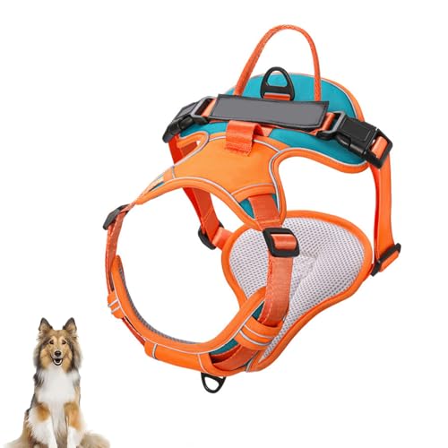 Hundegeschirr Ohne Ziehen, Reflektierendes Hundewestengeschirr Mit 2 Leinenclips Vorne Und Hinten, Verstellbare, Weich Gepolsterte Hundeweste Mit Leicht Zu Kontrollierendem Griff Für Hunde,C,M Hundegeschirr Ohne Ziehen, Reflektierendes Hundewestengeschirr Mit 2 Leinenclips Vorne Und Hinten, Verstellbare, Weich Gepolsterte Hundeweste Mit Leicht Zu Kontrollierendem Griff Für Hunde,C,M von YPDOPORA