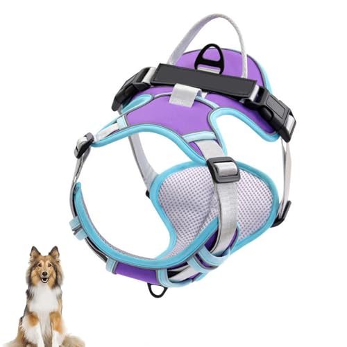 Hundegeschirr Ohne Ziehen, Reflektierendes Hundewestengeschirr Mit 2 Leinenclips Vorne Und Hinten, Verstellbare, Weich Gepolsterte Hundeweste Mit Leicht Zu Kontrollierendem Griff Für Hunde,H,XS Hundegeschirr Ohne Ziehen, Reflektierendes Hundewestengeschirr Mit 2 Leinenclips Vorne Und Hinten, Verstellbare, Weich Gepolsterte Hundeweste Mit Leicht Zu Kontrollierendem Griff Für Hunde,H,XS von YPDOPORA