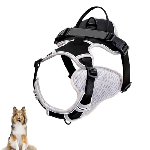 Hundegeschirr Ohne Ziehen, Reflektierendes Hundewestengeschirr Mit 2 Leinenclips Vorne Und Hinten, Verstellbare, Weich Gepolsterte Hundeweste Mit Leicht Zu Kontrollierendem Griff Für Hunde,J,S Hundegeschirr Ohne Ziehen, Reflektierendes Hundewestengeschirr Mit 2 Leinenclips Vorne Und Hinten, Verstellbare, Weich Gepolsterte Hundeweste Mit Leicht Zu Kontrollierendem Griff Für Hunde,J,S von YPDOPORA