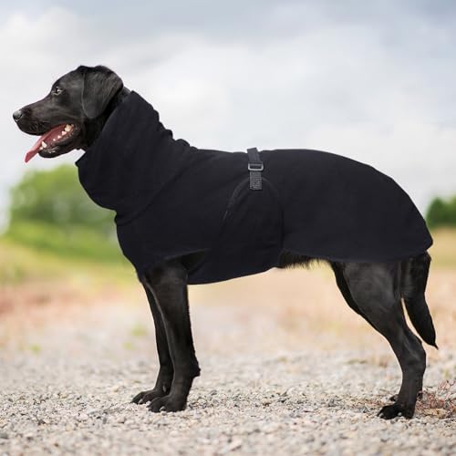 Hundekleidung Für Den Winter, Warmer, Wattierter Mantel, Kuschelige Rollkragenjacke Für Hunde, Größe M, Bequemer, Weicher Haustiermantel Mit Verstellbarem Bauchgurt Für Spaziergänge,Schwarz,S Hundekleidung Für Den Winter, Warmer, Wattierter Mantel, Kuschelige Rollkragenjacke Für Hunde, Größe M, Bequemer, Weicher Haustiermantel Mit Verstellbarem Bauchgurt Für Spaziergänge,Schwarz,S von YPDOPORA