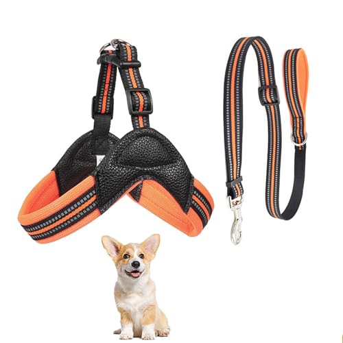 Hundewestengeschirr, Allwetter-Atmungsaktives Weiches Netzgewebe Mit Trainingshundeleine, Y-Förmiges, Ausbruchsicheres, Reflektierendes Hundegurtgeschirr, Einfache Kontrolle Für Hunde,Orange,M Hundewestengeschirr, Allwetter-Atmungsaktives Weiches Netzgewebe Mit Trainingshundeleine, Y-Förmiges, Ausbruchsicheres, Reflektierendes Hundegurtgeschirr, Einfache Kontrolle Für Hunde,Orange,M von YPDOPORA