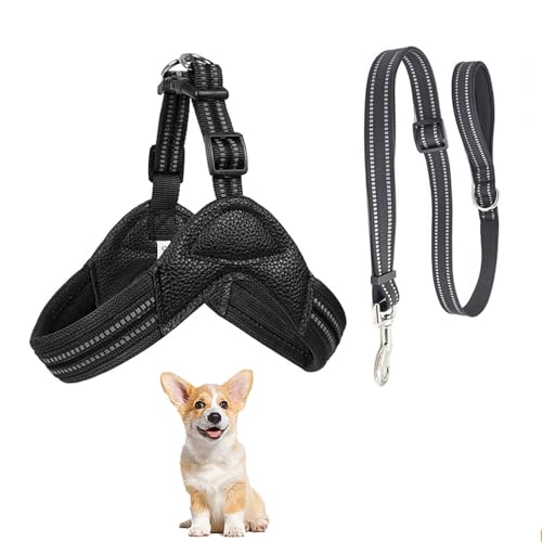 Hundewestengeschirr, Allwetter-Atmungsaktives Weiches Netzgewebe Mit Trainingshundeleine, Y-Förmiges, Ausbruchsicheres, Reflektierendes Hundegurtgeschirr, Einfache Kontrolle Für Hunde,Schwarz,XS Hundewestengeschirr, Allwetter-Atmungsaktives Weiches Netzgewebe Mit Trainingshundeleine, Y-Förmiges, Ausbruchsicheres, Reflektierendes Hundegurtgeschirr, Einfache Kontrolle Für Hunde,Schwarz,XS von YPDOPORA