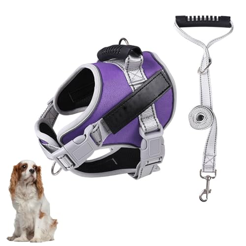Hundewestengeschirr, Kein Ziehen Beim Training Von Hundegeschirren Mit Griff Und 1,52 M Langer Hundeleine, Verstellbare Und Reflektierende Hundeweste Für Kleine, Mittelgroße Und Große Haustiere,D,2XL Hundewestengeschirr, Kein Ziehen Beim Training Von Hundegeschirren Mit Griff Und 1,52 M Langer Hundeleine, Verstellbare Und Reflektierende Hundeweste Für Kleine, Mittelgroße Und Große Haustiere,D,2XL von YPDOPORA
