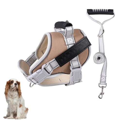 Hundewestengeschirr, Kein Ziehen Beim Training Von Hundegeschirren Mit Griff Und 1,52 M Langer Hundeleine, Verstellbare Und Reflektierende Hundeweste Für Kleine, Mittelgroße Und Große Haustiere,F,L Hundewestengeschirr, Kein Ziehen Beim Training Von Hundegeschirren Mit Griff Und 1,52 M Langer Hundeleine, Verstellbare Und Reflektierende Hundeweste Für Kleine, Mittelgroße Und Große Haustiere,F,L von YPDOPORA