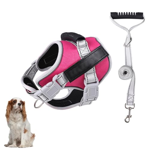Hundewestengeschirr, Kein Ziehen Beim Training Von Hundegeschirren Mit Griff Und 1,52 M Langer Hundeleine, Verstellbare Und Reflektierende Hundeweste Für Kleine, Mittelgroße Und Große Haustiere,B,S Hundewestengeschirr, Kein Ziehen Beim Training Von Hundegeschirren Mit Griff Und 1,52 M Langer Hundeleine, Verstellbare Und Reflektierende Hundeweste Für Kleine, Mittelgroße Und Große Haustiere,B,S von YPDOPORA