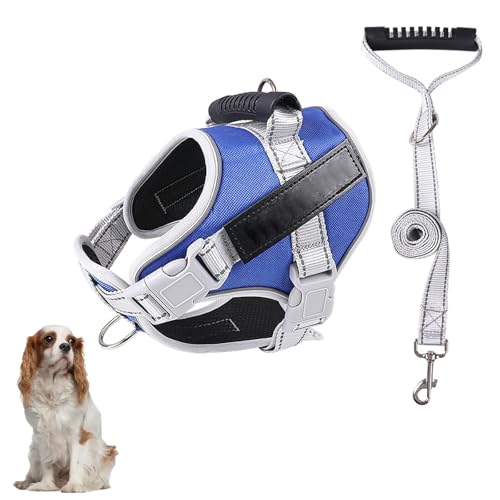 Hundewestengeschirr, Kein Ziehen Beim Training Von Hundegeschirren Mit Griff Und 1,52 M Langer Hundeleine, Verstellbare Und Reflektierende Hundeweste Für Kleine, Mittelgroße Und Große Haustiere,I,S Hundewestengeschirr, Kein Ziehen Beim Training Von Hundegeschirren Mit Griff Und 1,52 M Langer Hundeleine, Verstellbare Und Reflektierende Hundeweste Für Kleine, Mittelgroße Und Große Haustiere,I,S von YPDOPORA