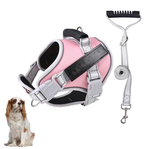 Hundewestengeschirr, Kein Ziehen Beim Training Von Hundegeschirren Mit Griff Und 1,52 M Langer Hundeleine, Verstellbare Und Reflektierende Hundeweste Für Kleine, Mittelgroße Und Große Haustiere,E,M Hundewestengeschirr, Kein Ziehen Beim Training Von Hundegeschirren Mit Griff Und 1,52 M Langer Hundeleine, Verstellbare Und Reflektierende Hundeweste Für Kleine, Mittelgroße Und Große Haustiere,E,M von YPDOPORA