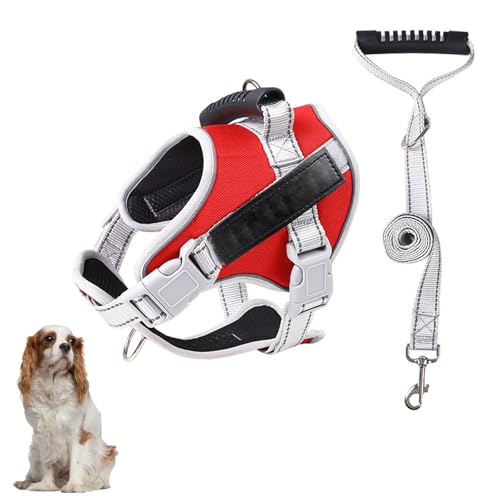Hundewestengeschirr, Kein Ziehen Beim Training Von Hundegeschirren Mit Griff Und 1,52 M Langer Hundeleine, Verstellbare Und Reflektierende Hundeweste Für Kleine, Mittelgroße Und Große Haustiere,J,2XL Hundewestengeschirr, Kein Ziehen Beim Training Von Hundegeschirren Mit Griff Und 1,52 M Langer Hundeleine, Verstellbare Und Reflektierende Hundeweste Für Kleine, Mittelgroße Und Große Haustiere,J,2XL von YPDOPORA