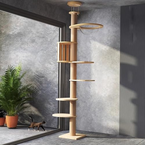 Katzenbaum Vom Boden Bis Zur Decke, Einstellbare Höhe (241–258 Cm, 264–274 Cm) Mit Einer Breite Von 10 Cm, Kratzbaum, Katzenhängematte, Vollständig Mit Sisalseil Umwickelt, Robuster Katzenbaum von YPDOPORA