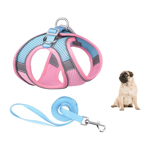 No Pull Hundegeschirr Und Leine Set, Step-In Verstellbares Hundegeschirr Mit Gepolsterter Weste Für Jedes Wetter, Hundeleine Mit Weich Gepolstertem Griff, Hundeleine Für Hunde Und Katzen,Rosa,L No Pull Hundegeschirr Und Leine Set, Step-In Verstellbares Hundegeschirr Mit Gepolsterter Weste Für Jedes Wetter, Hundeleine Mit Weich Gepolstertem Griff, Hundeleine Für Hunde Und Katzen,Rosa,L von YPDOPORA