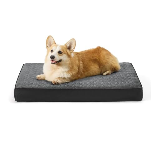 Orthopädisches Hundebett Für Hundekäfige, Reißfestes Hundebett Aus Memory-Schaum, Wasserdichte Kistenpolster Für Hundekäfige Mit Abnehmbarem, Waschbarem Bezug Und Rutschfester Unterseite,Grau,L von YPDOPORA