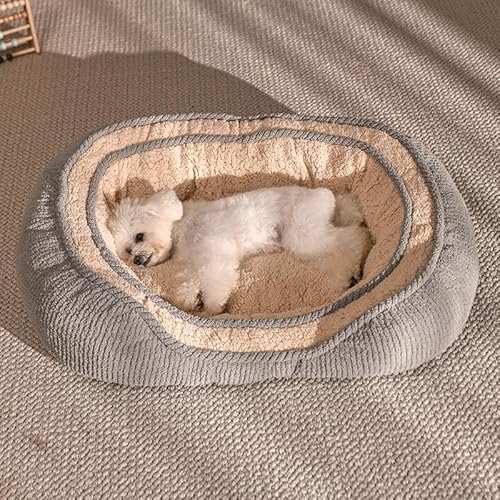 Orthopädisches Hundebett Für Mittelgroße Und Kleine Hunde, Beruhigende Haustierbetten, Niedliche, Moderne Betten Mit Wasserdichtem, Abnehmbarem, Waschbarem Bezug Und Rutschfester Unterseite,A,M Orthopädisches Hundebett Für Mittelgroße Und Kleine Hunde, Beruhigende Haustierbetten, Niedliche, Moderne Betten Mit Wasserdichtem, Abnehmbarem, Waschbarem Bezug Und Rutschfester Unterseite,A,M von YPDOPORA