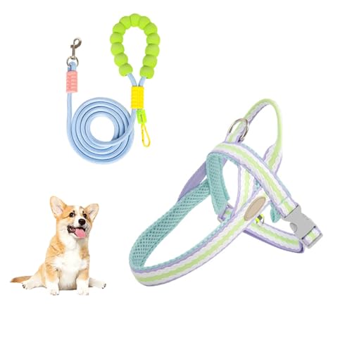 Verstellbare Welpenweste, Reflektierende Step-In-Hundegeschirrweste Mit D-Ring Für Die Leine, Atmungsaktives, Mit Netzgewebe Gepolstertes Haustiergeschirr Für Kleine Und Mittelgroße Hunde,Blau,XL Verstellbare Welpenweste, Reflektierende Step-In-Hundegeschirrweste Mit D-Ring Für Die Leine, Atmungsaktives, Mit Netzgewebe Gepolstertes Haustiergeschirr Für Kleine Und Mittelgroße Hunde,Blau,XL von YPDOPORA
