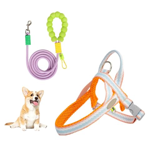 Verstellbare Welpenweste, Reflektierende Step-In-Hundegeschirrweste Mit D-Ring Für Die Leine, Atmungsaktives, Mit Netzgewebe Gepolstertes Haustiergeschirr Für Kleine Und Mittelgroße Hunde,Orange,M Verstellbare Welpenweste, Reflektierende Step-In-Hundegeschirrweste Mit D-Ring Für Die Leine, Atmungsaktives, Mit Netzgewebe Gepolstertes Haustiergeschirr Für Kleine Und Mittelgroße Hunde,Orange,M von YPDOPORA